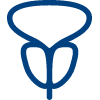 Prostate