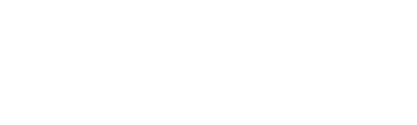 icometrix