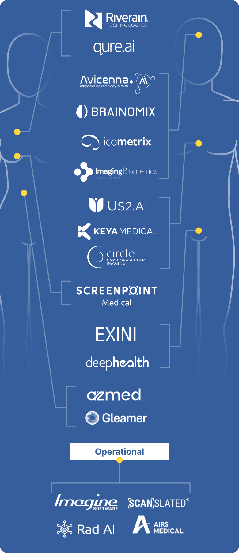 Our Clinical Service at a Glance