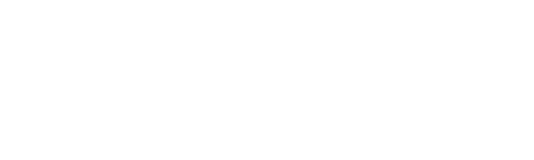 Icometric Logo