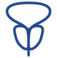 Prostate